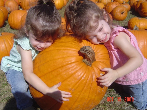 We just love pumpkins!