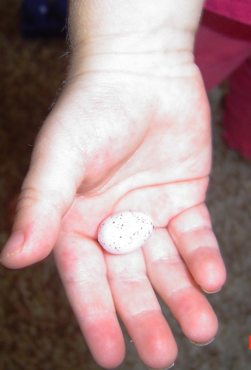 Scarlet's coveted treasure, she found a tiny plastic egg in the box of blocks and carried it around with her all day.
